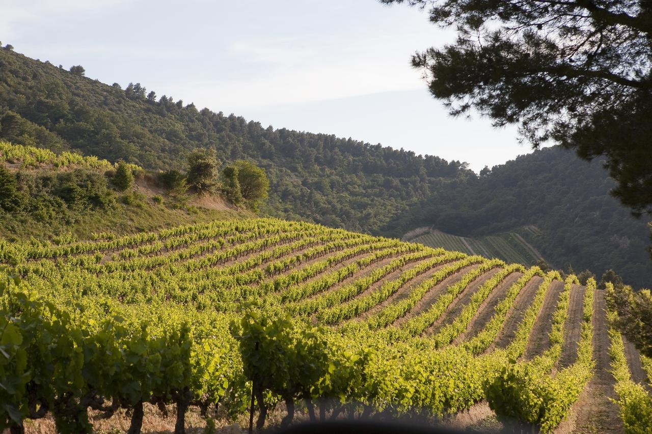 Les Florets Gigondas Exterior foto